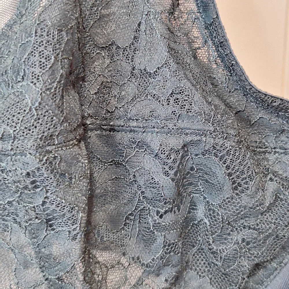 HSIA Womens Green Lace Sexy Underwire Bra 46C Adjustable Strap Hook Eye Sheer‎
